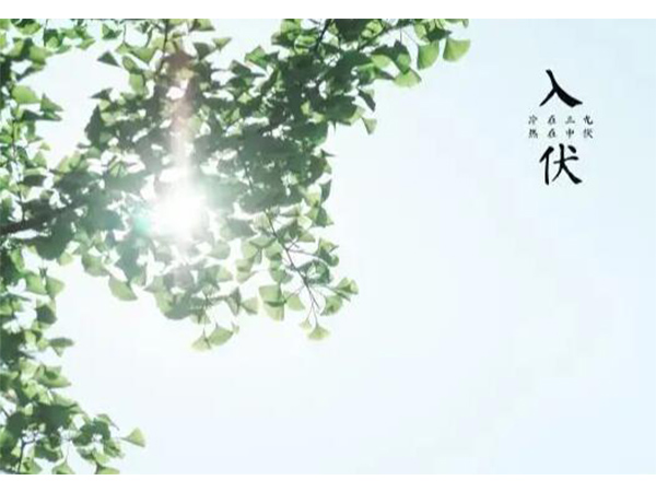 金環電器