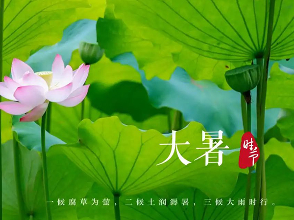 金環電器