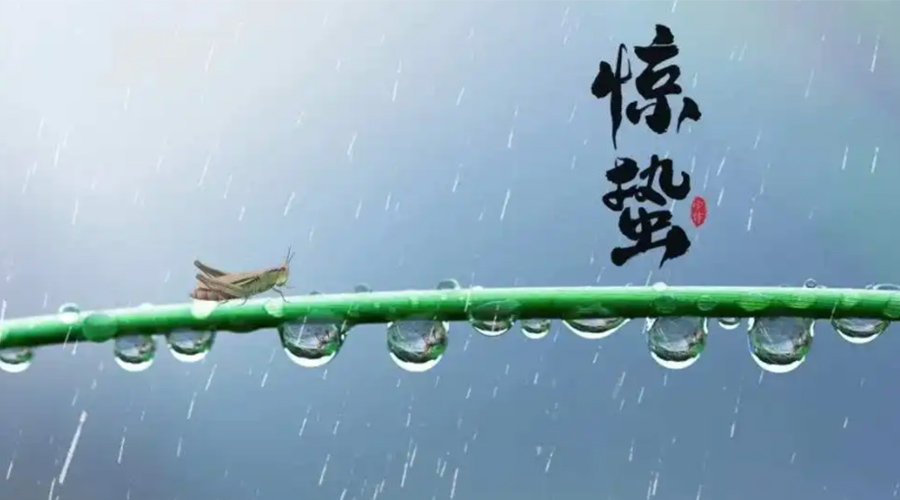 驚蟄時節！金環電器提醒大家干衣要注意這些